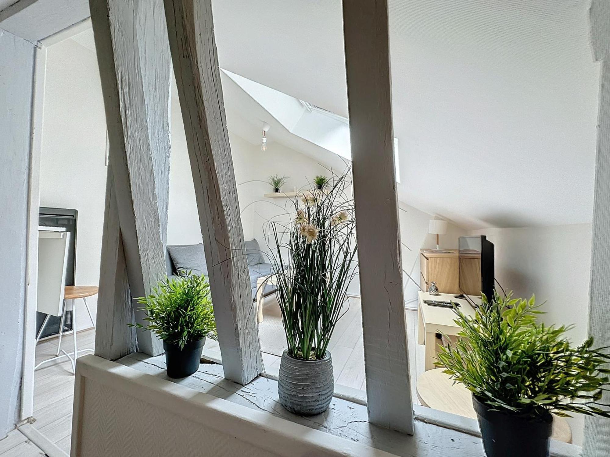Le Nid De Reims Apartment Ngoại thất bức ảnh